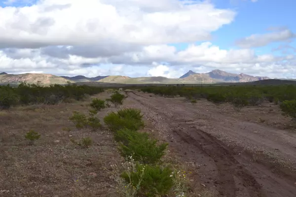 Douglas, AZ 85607,Tbd E Dry Branch (012A & 012B) Road #12