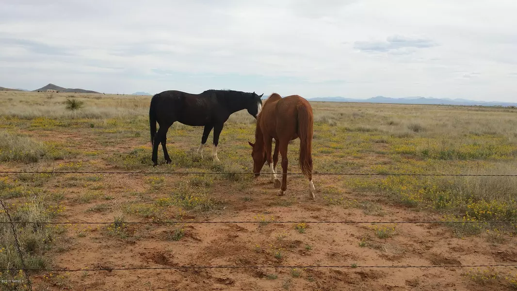 000 Kokopelli Trail, Mc Neal, AZ 85617
