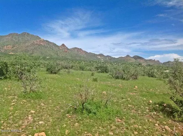 Tubac, AZ 85646,00 Guadalupe Lane #0