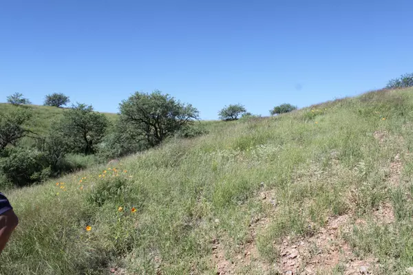 Arivaca, AZ 85601,38101 S Wedgeford Road