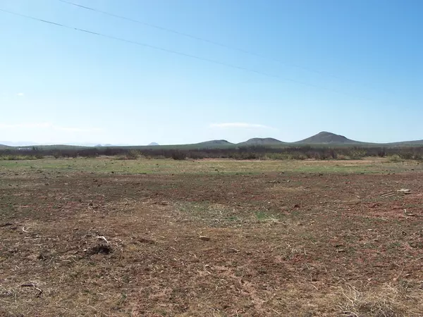 Pearce, AZ 85625,39.88 ac E Buck Ranch Road #63