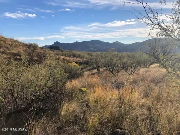 Tubac, AZ 85646,TBD Bond Canyon Road #57/2