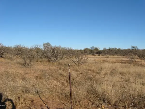 Arivaca, AZ 85601,16115 W Hardscrabble W Road