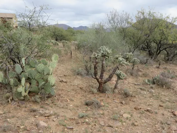 Rio Rico, AZ 85648,1918 Circulo Greco  #248