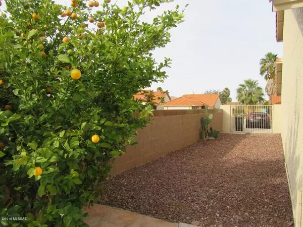 Tucson, AZ 85747,7787 S Kilcormac Lane