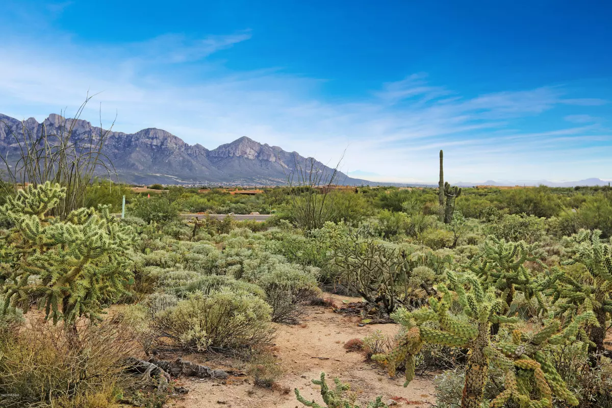 Oro Valley, AZ 85755,1814 Tortolita Mountain Circle #588