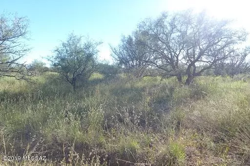 Sonoita, AZ 85637,00 Yucca Ash Farm Road