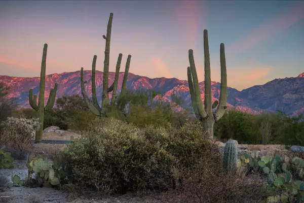 Oro Valley, AZ 85755,14077 N Flint Peak Place #599