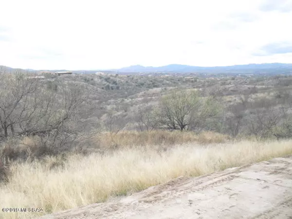 Rio Rico, AZ 85648,211 Camino San Xavier