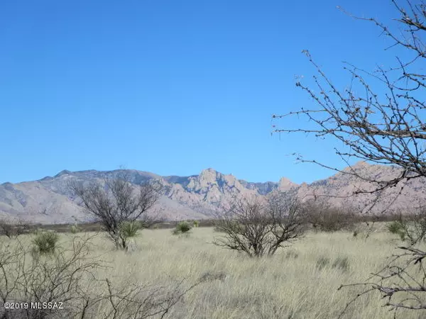 St. David, AZ 85630,36.13 ac E Cochise Trail #14