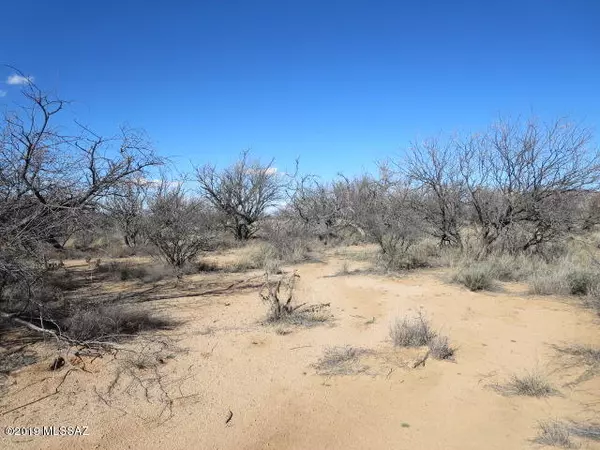 St. David, AZ 85630,36.13 ac E Cochise Trail #14