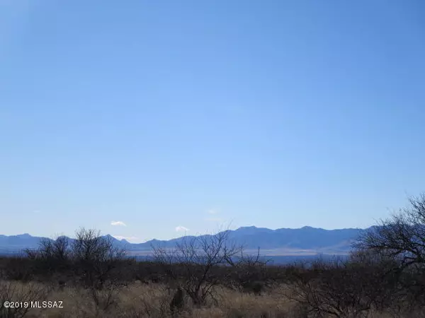 St. David, AZ 85630,36.13 ac E Cochise Trail #14