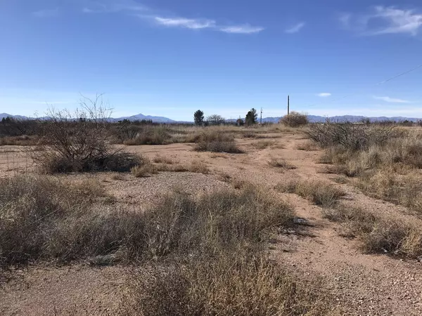 1.74 ac Washington, Douglas, AZ 85607