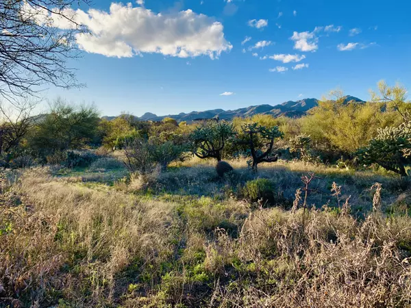 Oro Valley, AZ 85755,1235 N Weathered Stone Place #118