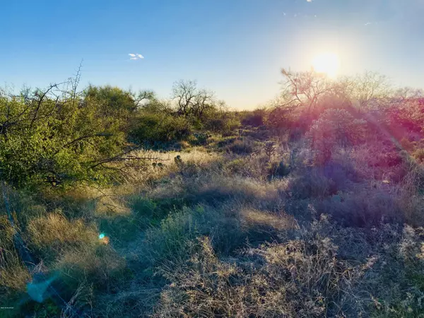 Oro Valley, AZ 85755,1235 N Weathered Stone Place #118