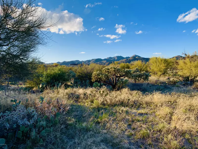 1235 N Weathered Stone Place #118, Oro Valley, AZ 85755