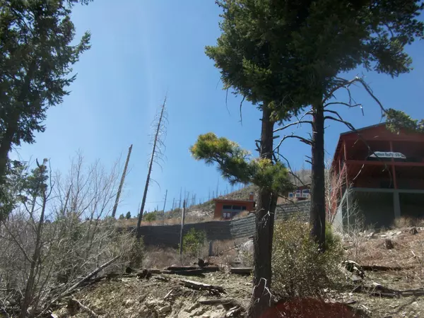 12907 N Sabino Canyon Parkway #35, Mt. Lemmon, AZ 85619