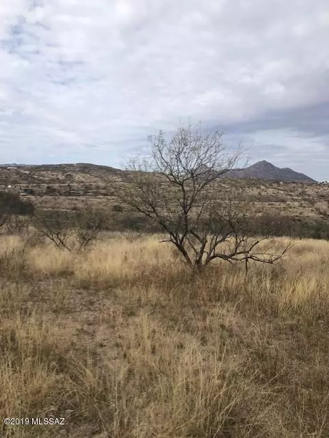 Rio Rico, AZ 85648,1046 Paseo Guebabi  #66