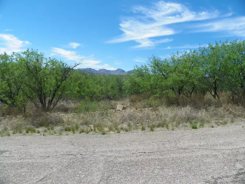 484 Via Guayava  #11, Rio Rico, AZ 85648