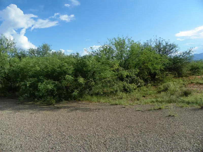 486 Via Guayava  #12, Rio Rico, AZ 85648