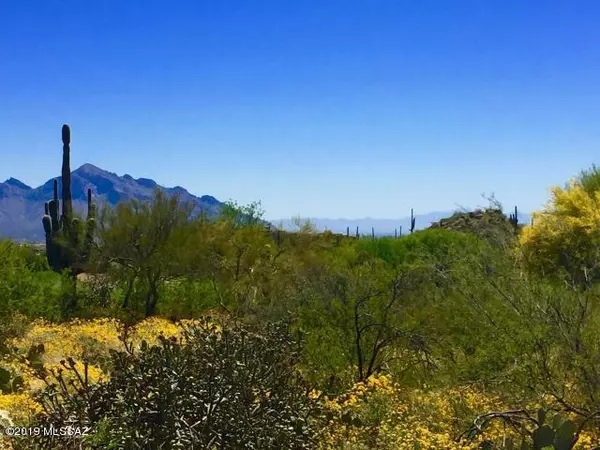 Oro Valley, AZ 85755,1138 Tortolita Mountain Circle #234