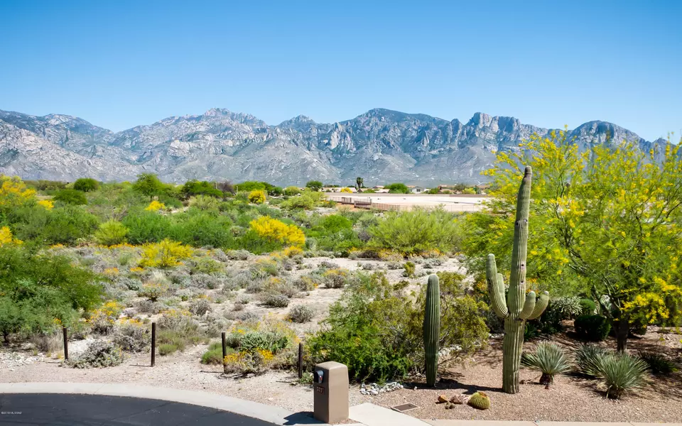 563 W Quiet Springs Drive #54, Oro Valley, AZ 85755