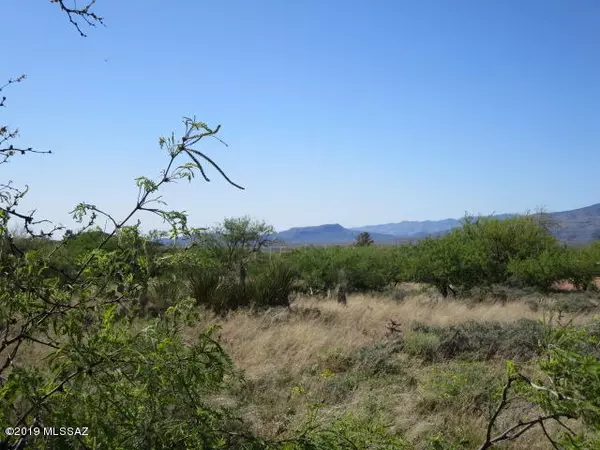 Benson, AZ 85602,1.04 ac S Osage Trail #346