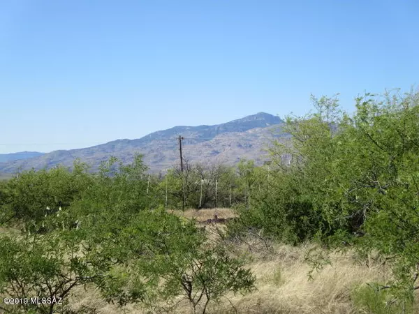 Benson, AZ 85602,1.04 ac S Osage Trail #346