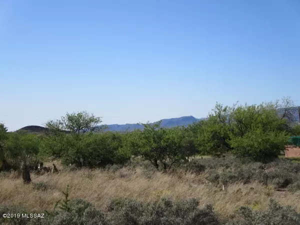 Benson, AZ 85602,1.04 ac S Osage Trail #346