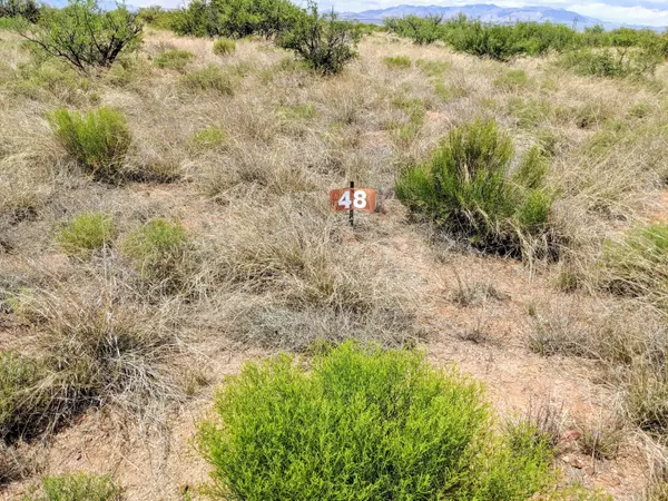 Lot 48 Roadrunner Trail  #48, St. David, AZ 85630