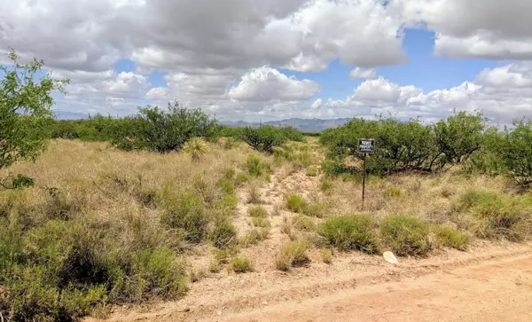 St. David, AZ 85630,Lot 48 Roadrunner Trail  #48