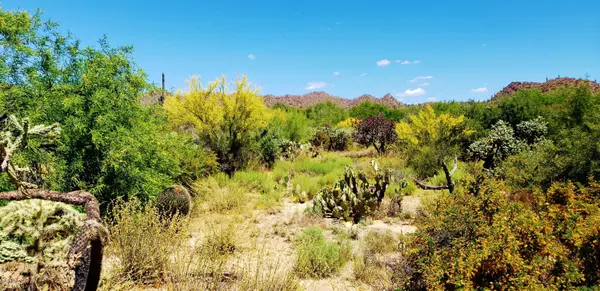 1332 Twisted Mesquite Place ##3, Oro Valley, AZ 85755