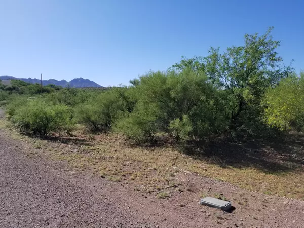 Rio Rico, AZ 85648,1859 Circulo Bulgaro  #14