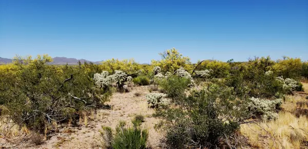 Catalina, AZ 85739,22200BLK S Tocayo Road