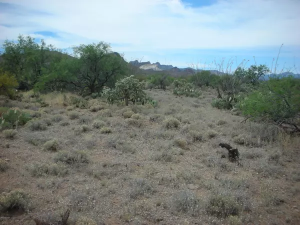 Corona De Tucson, AZ 85641,18225 S Rustling Leaf Trail #52