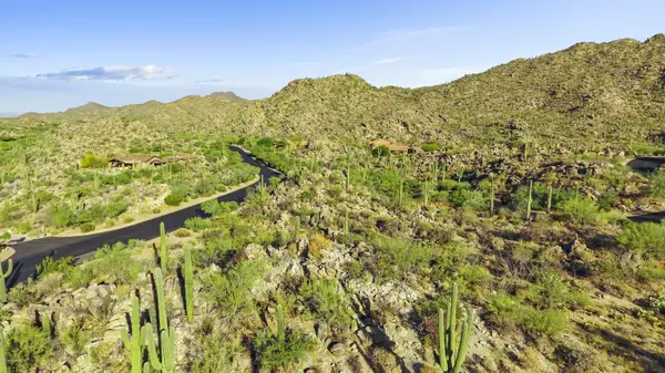 1181 W Tortolita Mountain Circle  #185, Oro Valley, AZ 85755