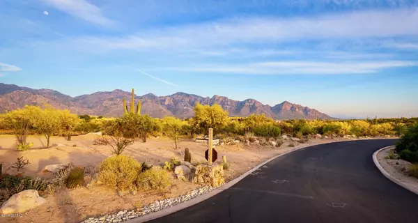 Oro Valley, AZ 85755,14 W Shimmering Sand Place #Lot 494