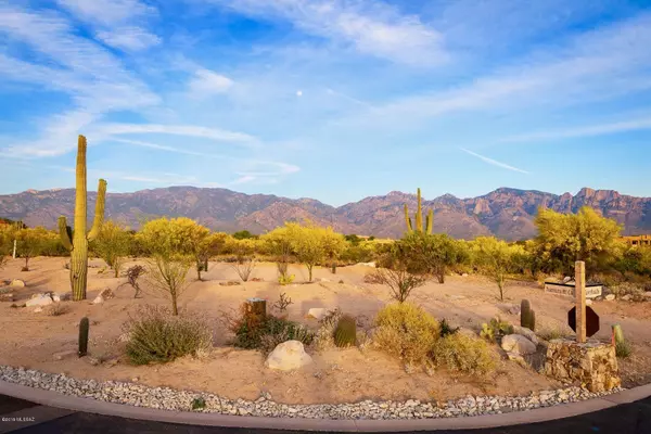 Oro Valley, AZ 85755,14 W Shimmering Sand Place #Lot 494