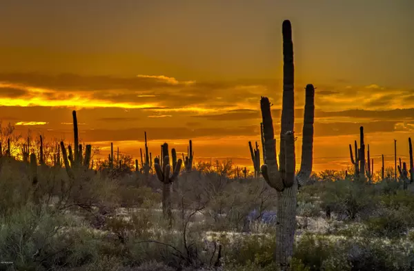 Picacho, AZ 85141,17065 E Peak LaneE  #252