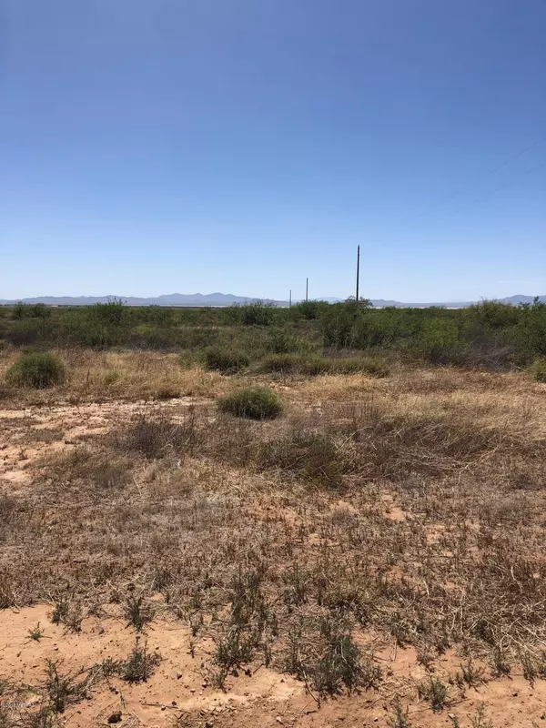 Willcox, AZ 85643,20.08 Ac N Bennett Place