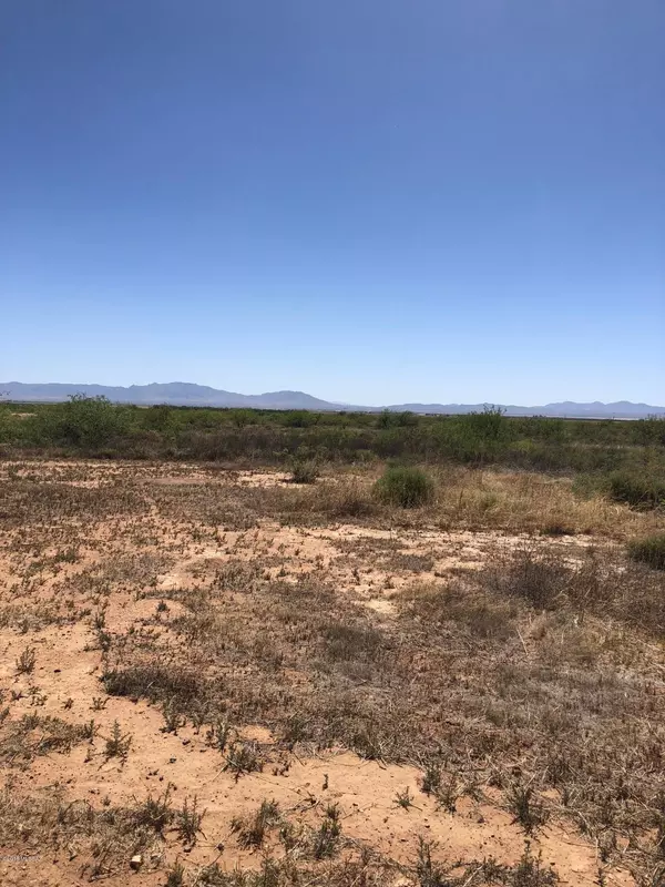 Willcox, AZ 85643,20.08 Ac N Bennett Place