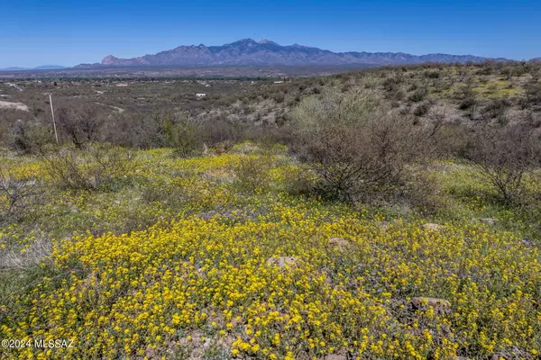 Tubac, AZ 85646,5 Vista De Torres  #5