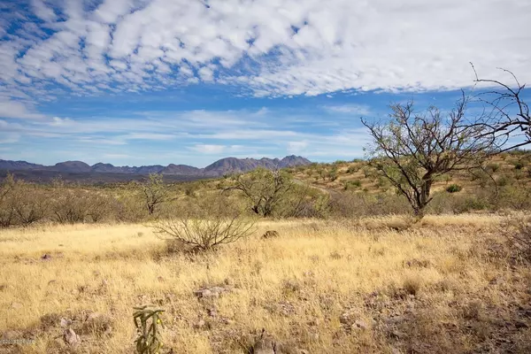 Tubac, AZ 85646,1 Vista De Torres