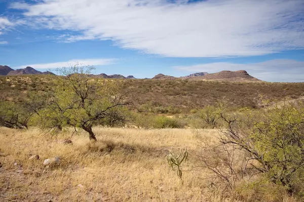 1 Vista De Torres, Tubac, AZ 85646