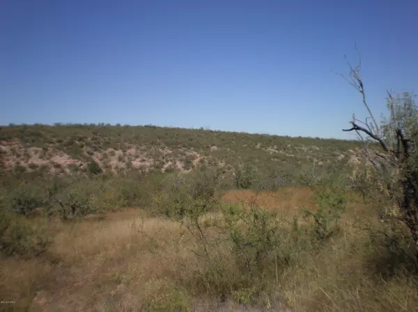 Tubac, AZ 85646,1 Vista De Torres