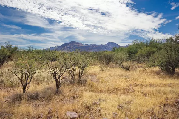 Tubac, AZ 85646,1 Vista De Torres