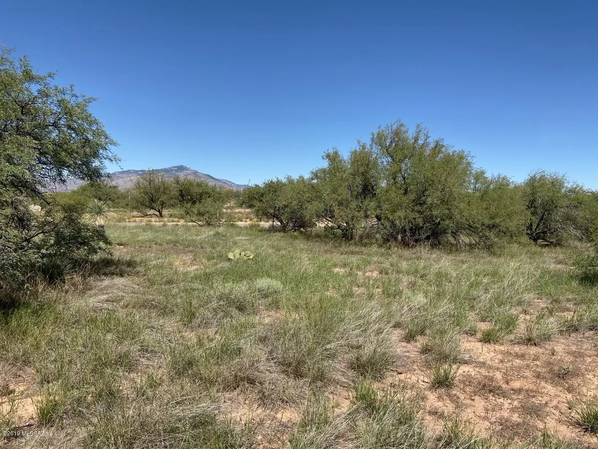 Benson, AZ 85602,25210 E Arapaho Trail #164