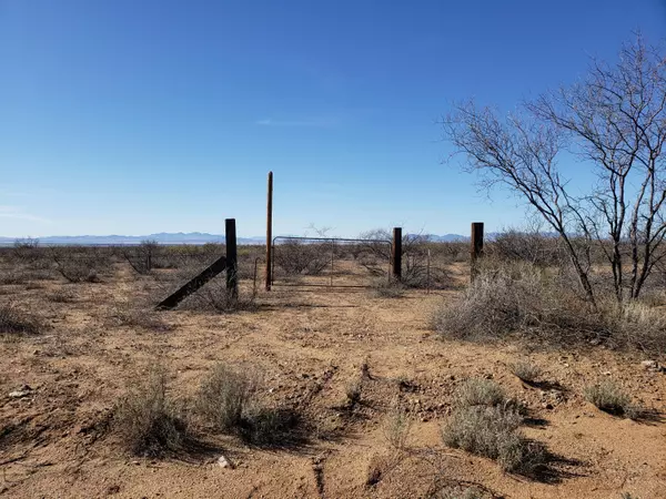 40.11 Acre S Covered Wagon  #67, Willcox, AZ 85643