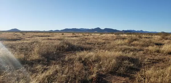 Elfrida, AZ 85610,80 acres W Webb Road