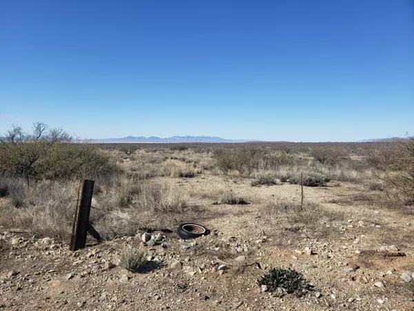 Willcox, AZ 85643,40 Acres S Covered Wagon Road #69